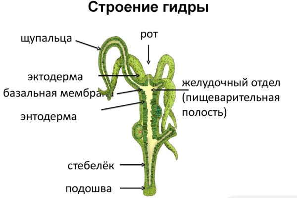 Ссылка на кракен официальный сайт