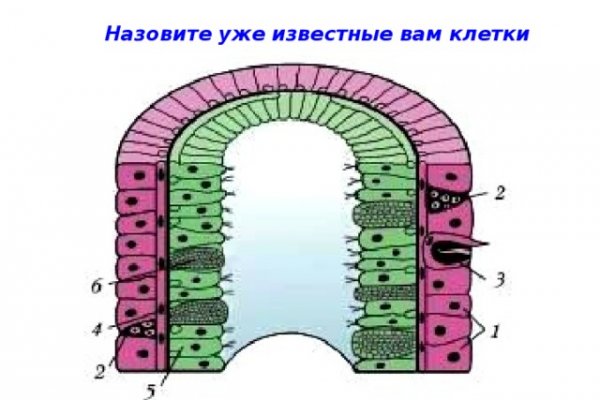 Кракен даркнет маркет плейс