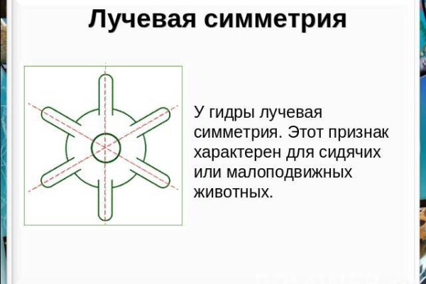 Как восстановить доступ к кракену