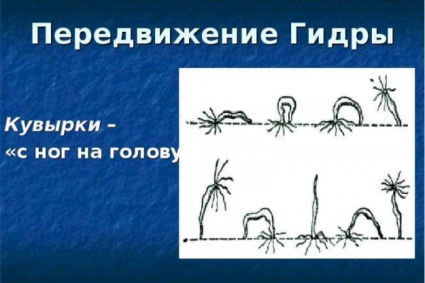 Настоящий сайт kraken