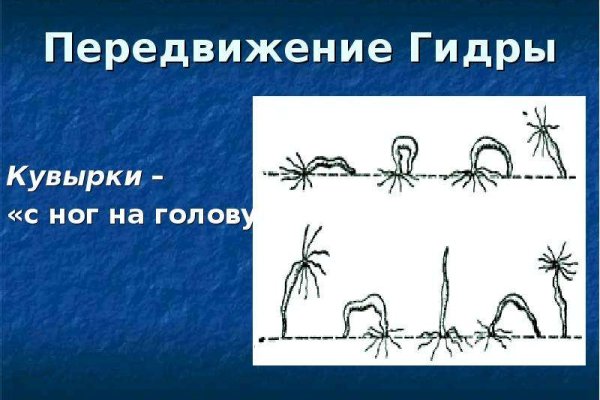 Сайт kraken в tor