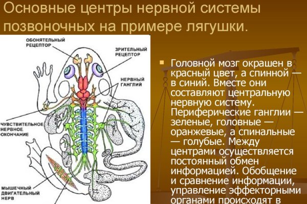 Мега кракен блэк спрут